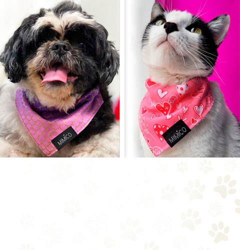 Bandana Gatitos